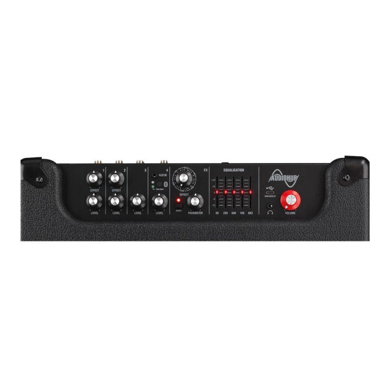 Laney Audiohub AH100 4-Kanaals Multi-Instrument Combo 100W
