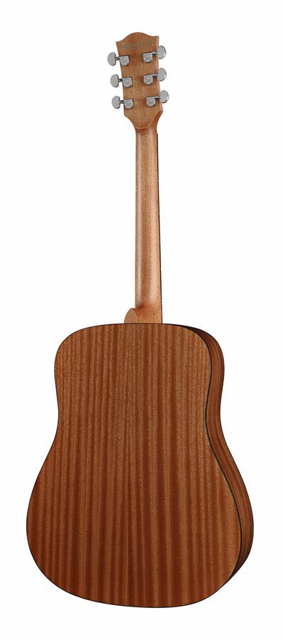 Richwood D-40 Master Series Handmade Dreadnought Westerngitaar