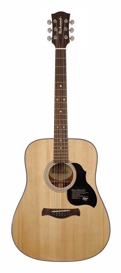 Richwood D-40 Master Series Handmade Dreadnought Westerngitaar