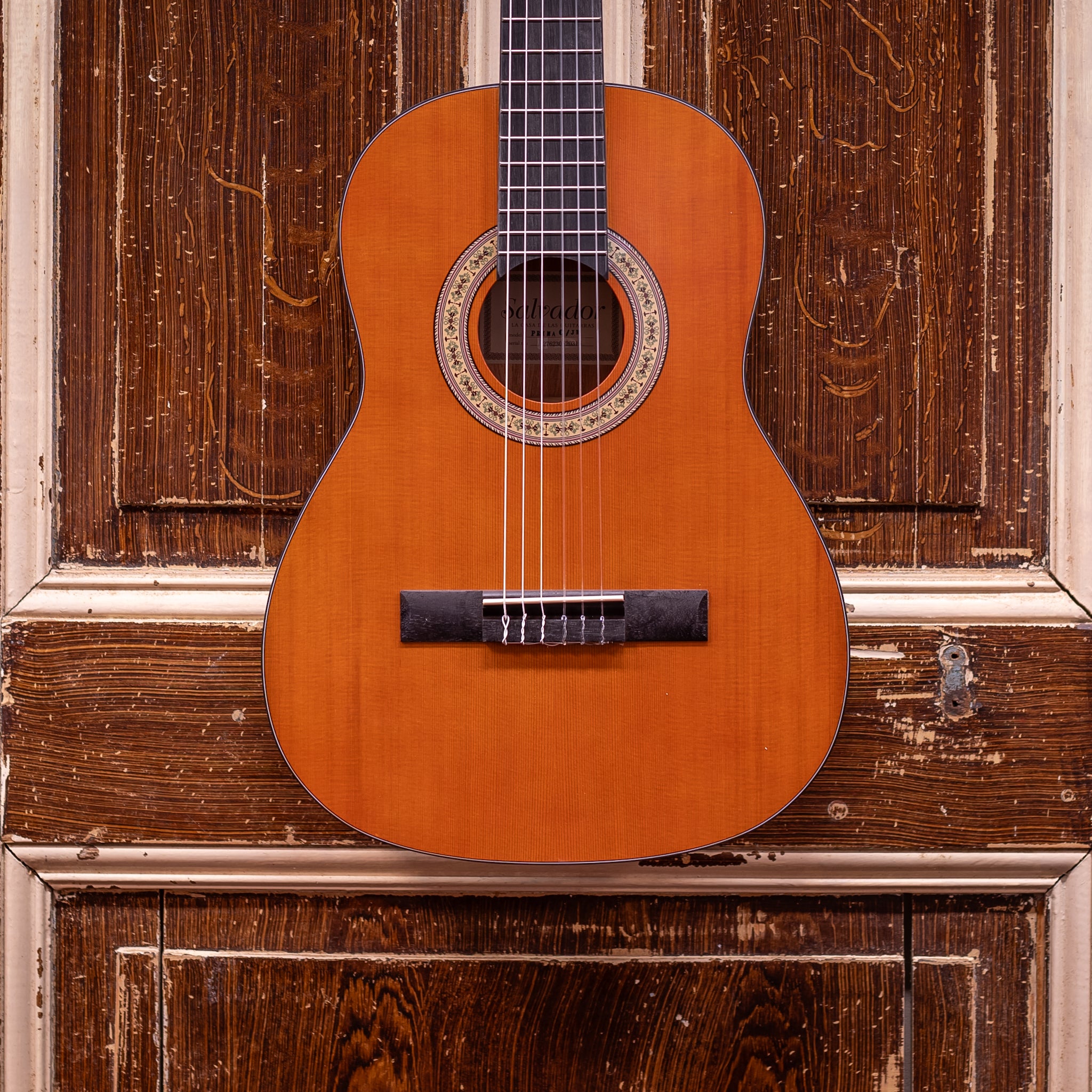 Salvador Prima C/JR 3/4