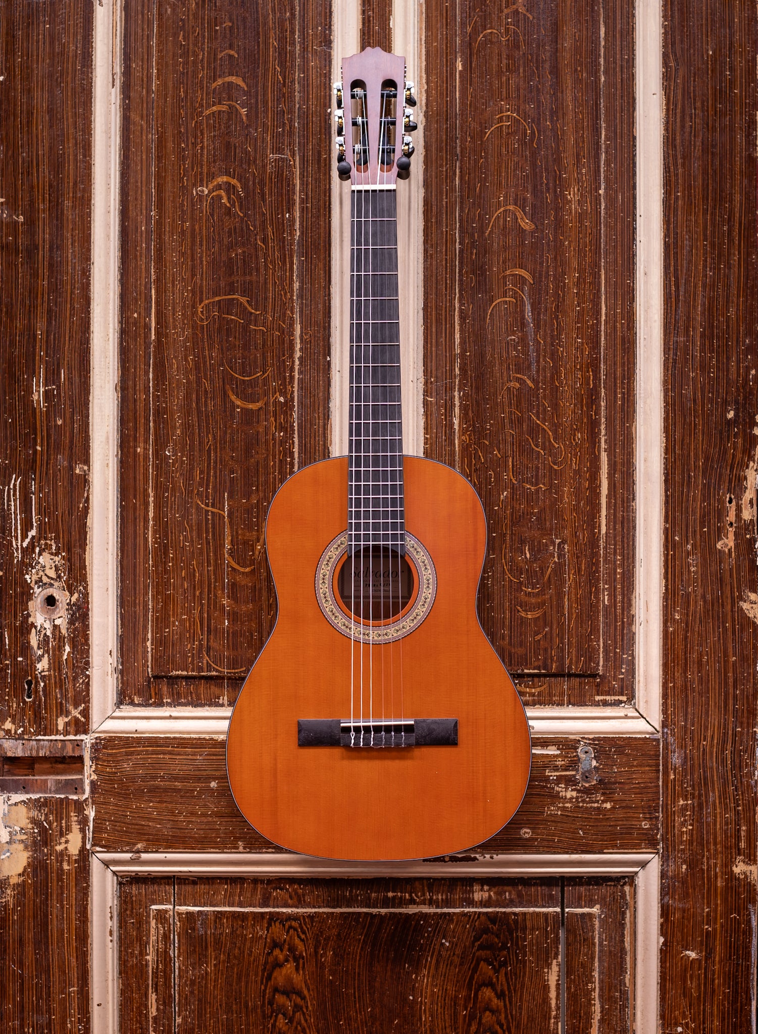 Salvador Prima C/JR 3/4