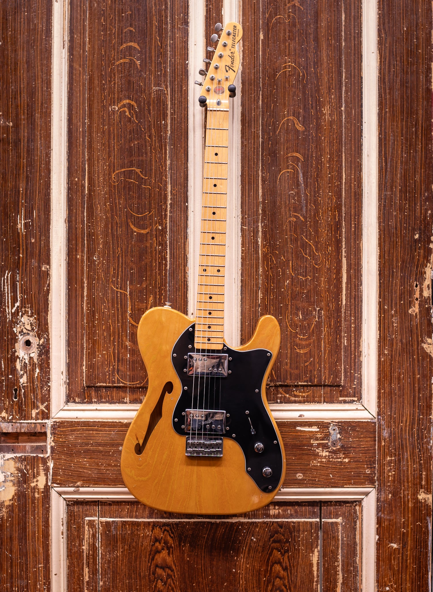 Fender MIJ Telecaster Deluxe Thinline 1996/97 (occasion)