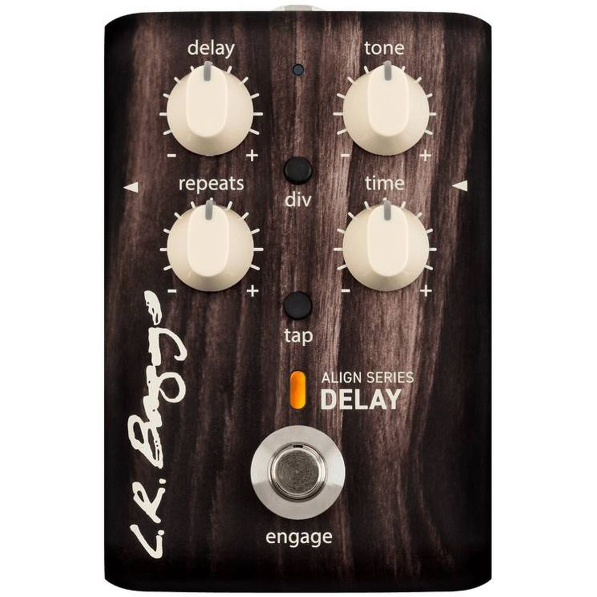 LR Baggs Align Delay