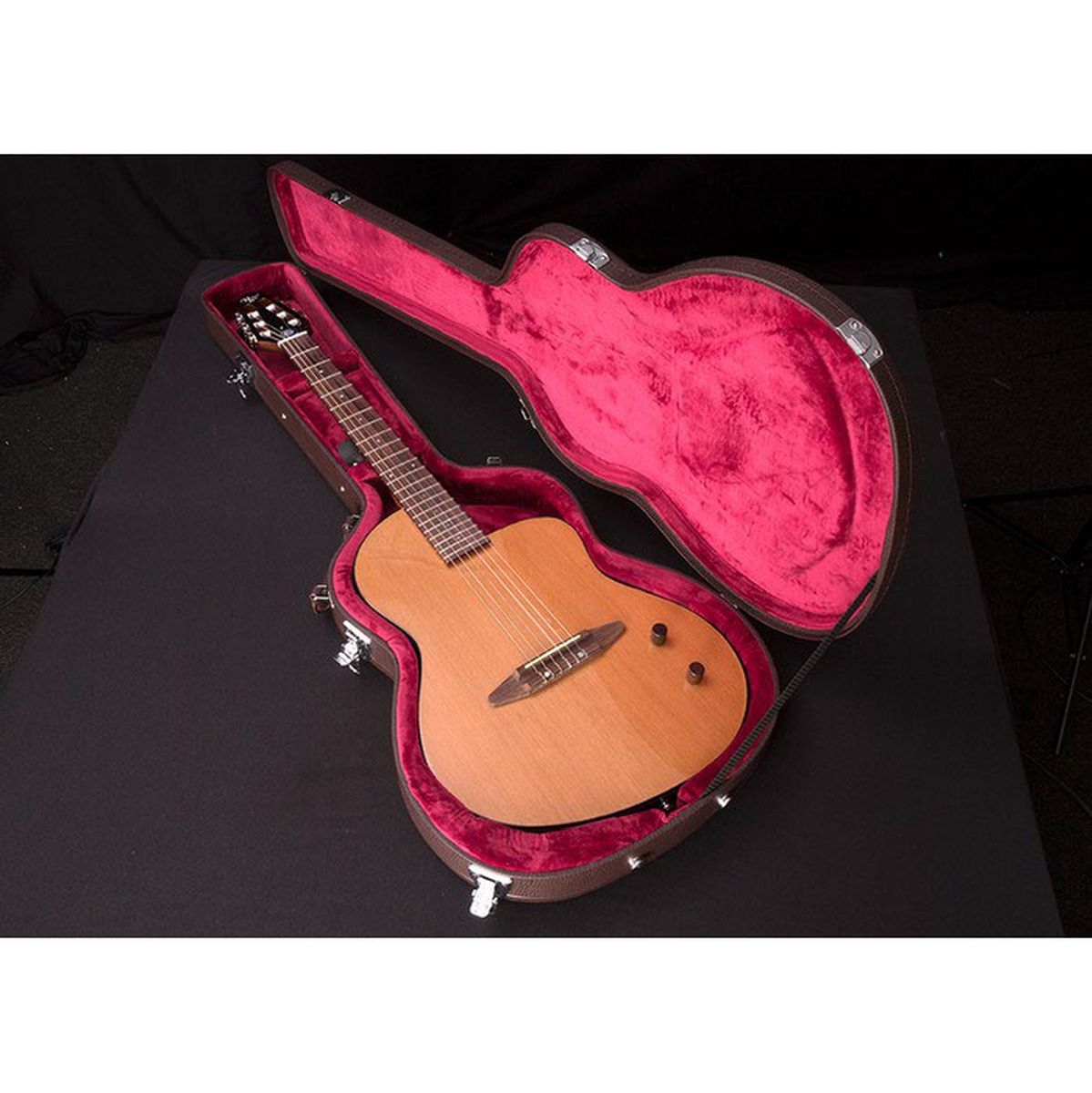 Michael Kelly Rick Turner Guitar Case