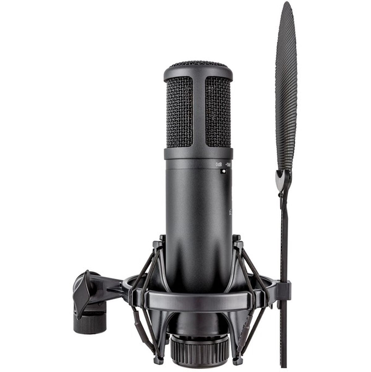 sE Electronics SE2200