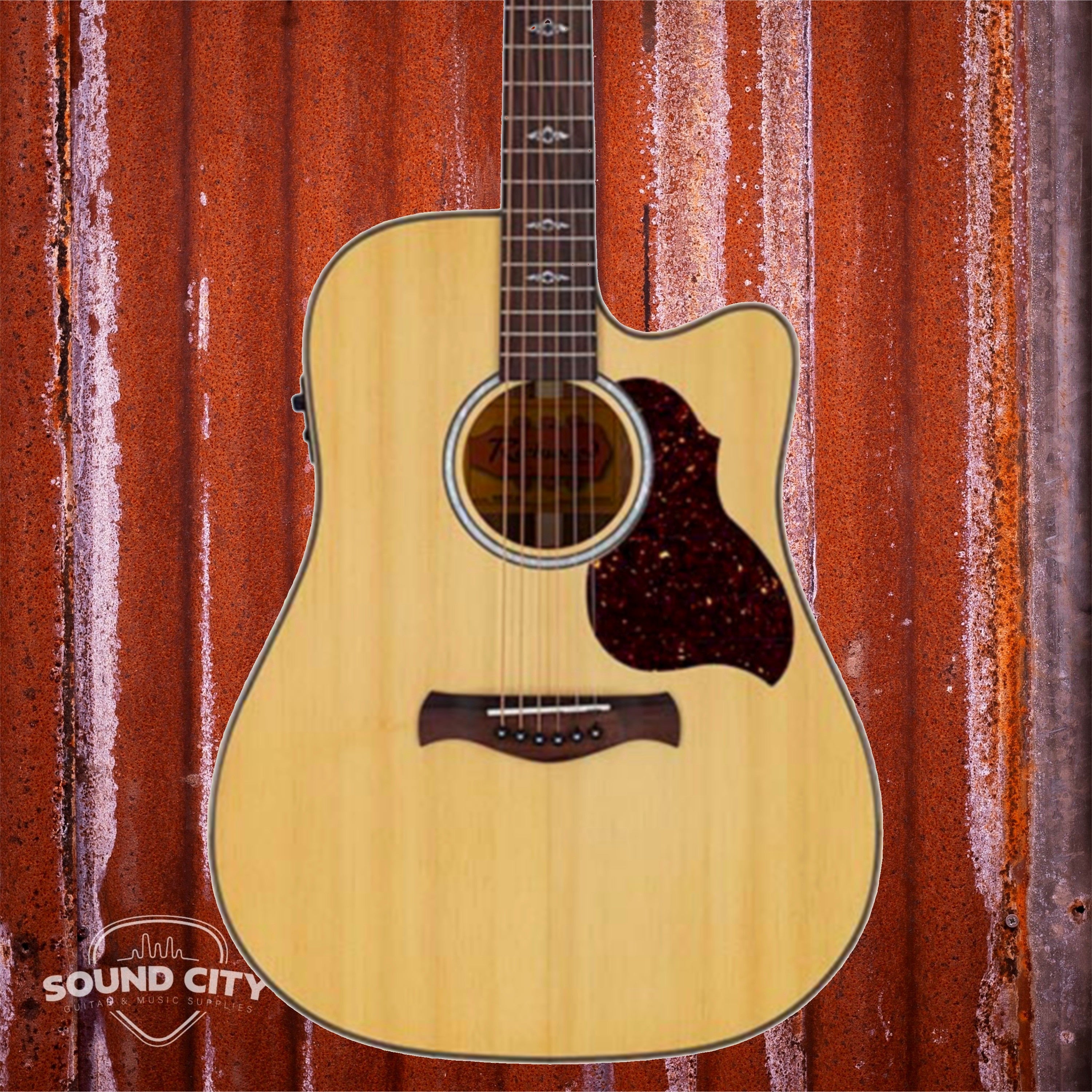 Richwood RD-27-CE Grand Auditorium Artist Series Handmade Westerngitaar
