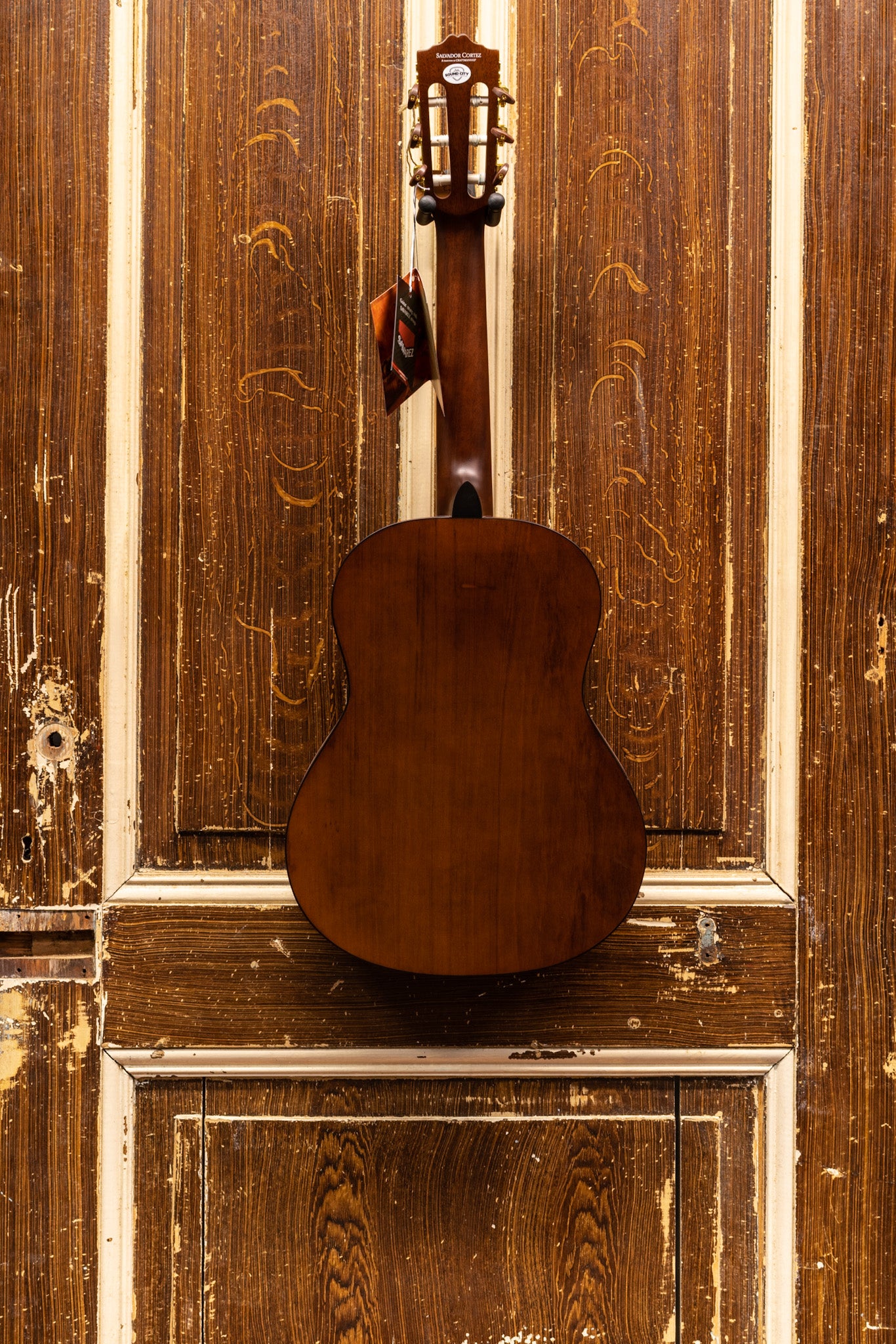 Salvador Cortez CC-06-BB Bambino 1/2