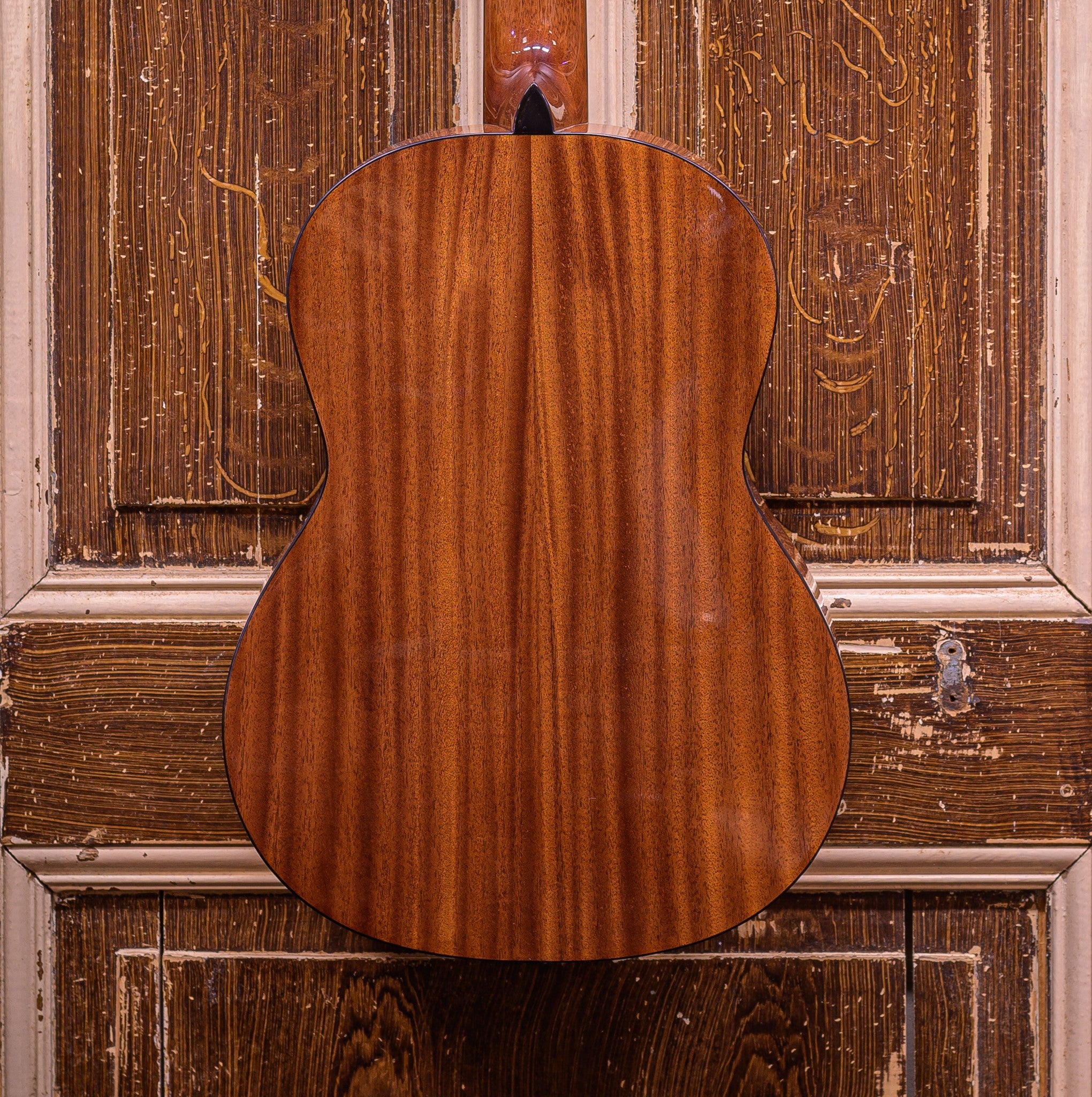 Salvador Nova C 4/4 Student Series classic guitar cedar + sapele