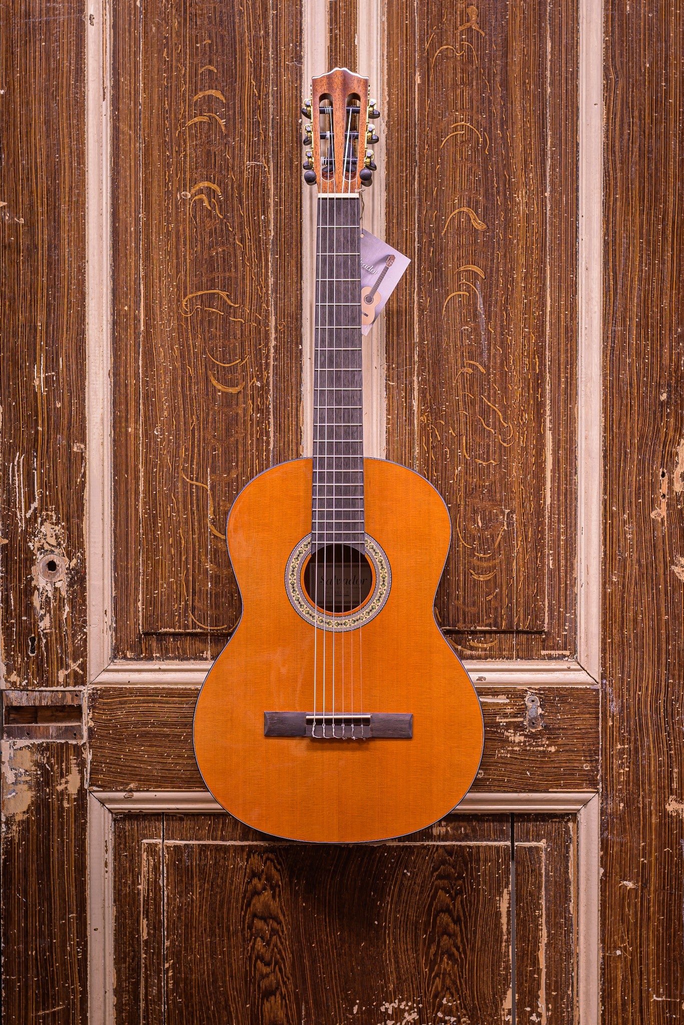 Salvador Nova C 4/4 Student Series classic guitar cedar + sapele