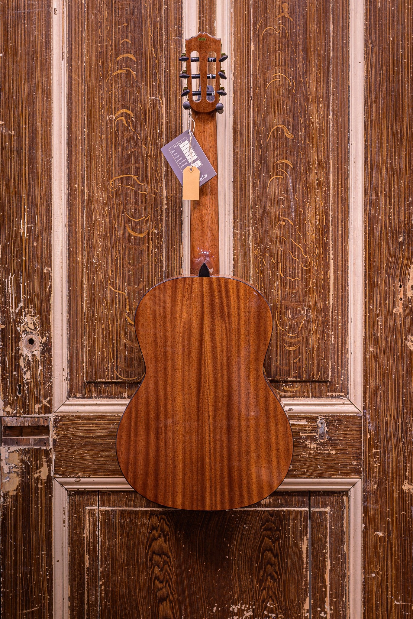 Salvador Nova C 4/4 Student Series classic guitar cedar + sapele