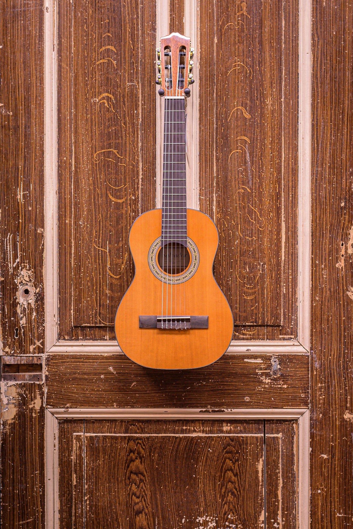 Salvador Prima C/PA 1/4 Student Series classic guitar cedar + sapele