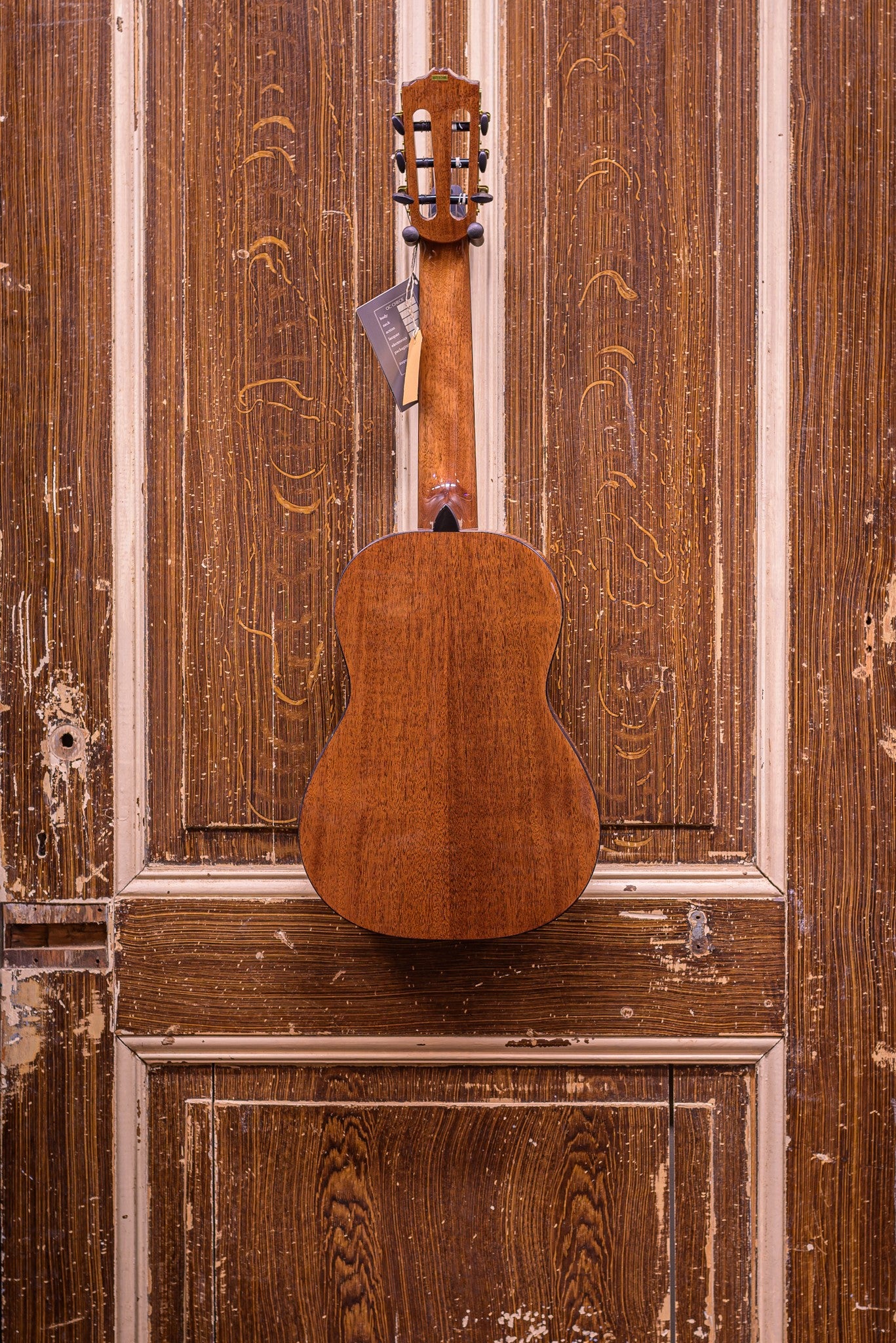 Salvador Prima C/PA 1/4 Student Series classic guitar cedar + sapele