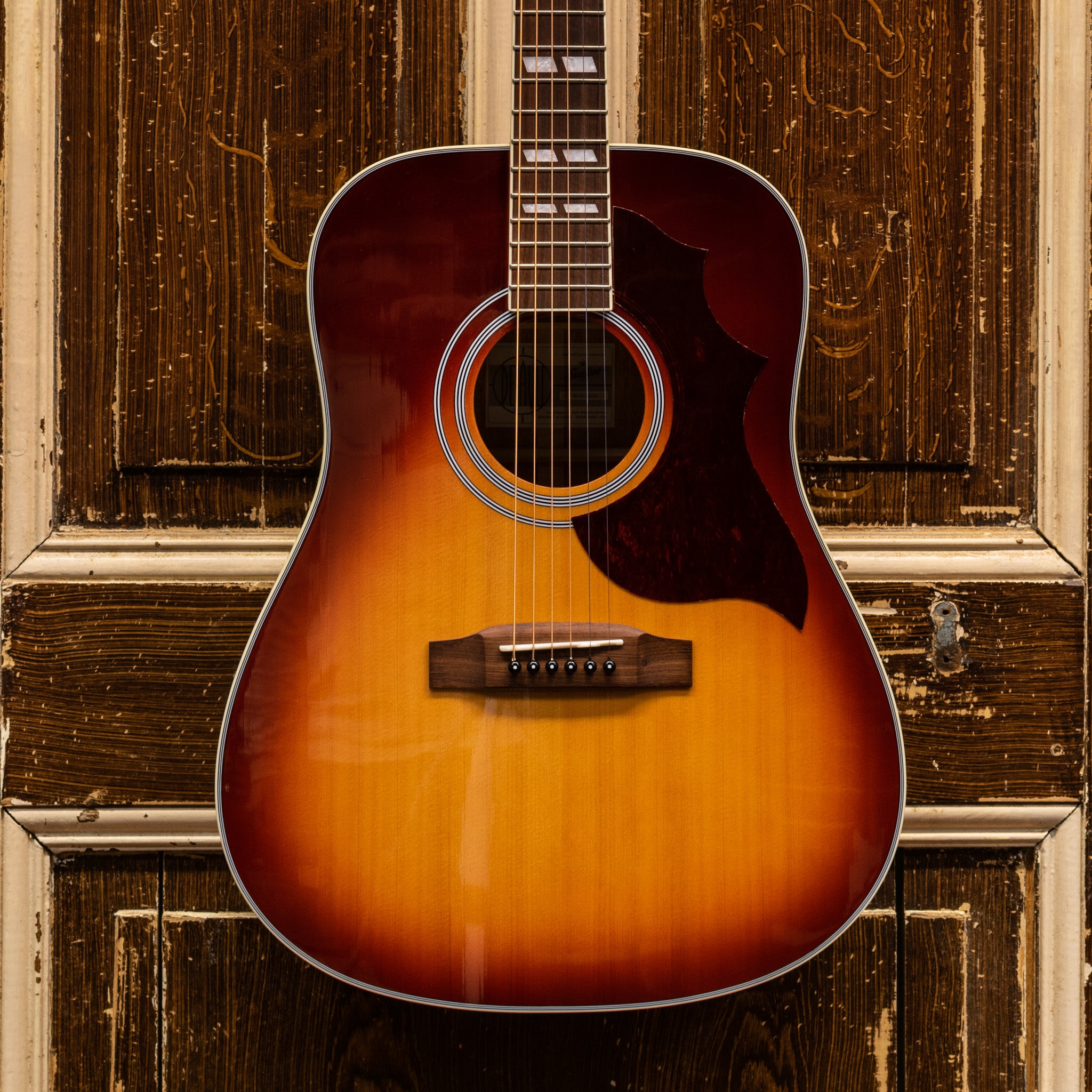 Stanford Deja Vu Series D-Bird Westerngitaar