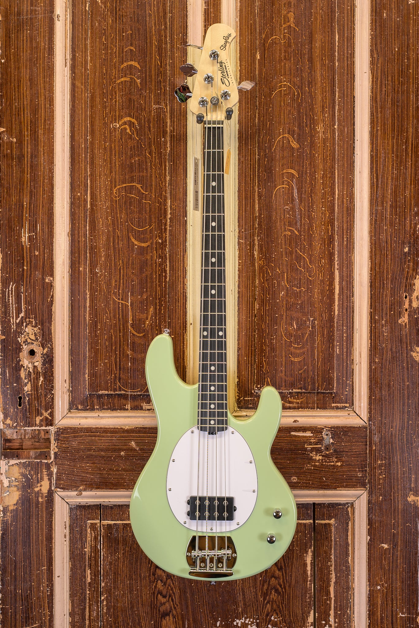 Sterling StingRay Ray2 MTG-A1 By Musicman Basgitaar