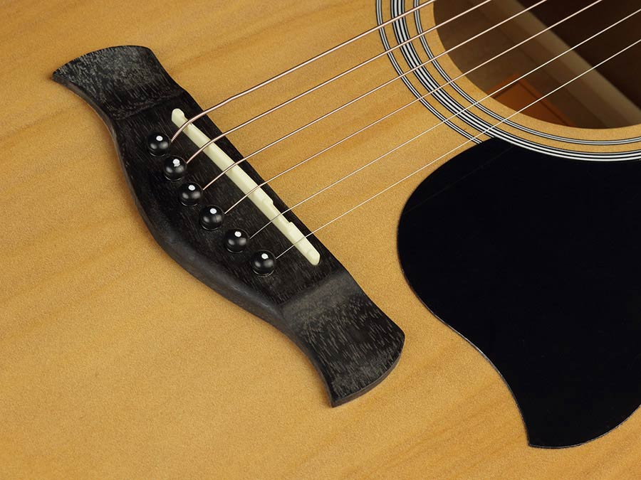 Richwood RD-12-CE Artist Series Dreadnought Westerngitaar