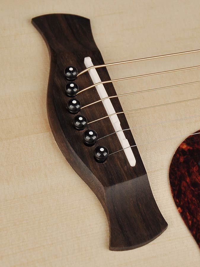 Richwood D-20 Master Series Handmade Dreadnought Westerngitaar