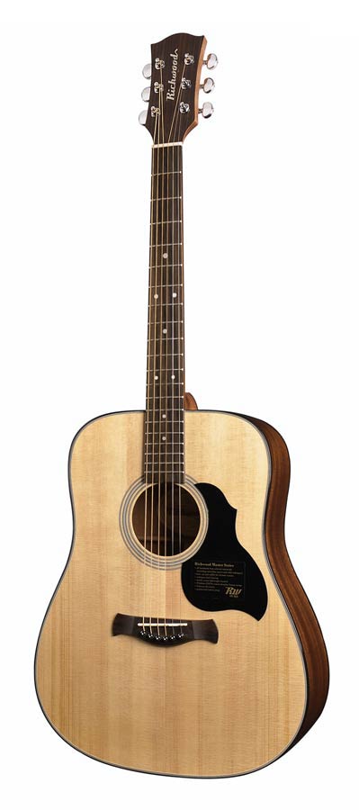 Richwood D-40 Master Series Handmade Dreadnought Westerngitaar