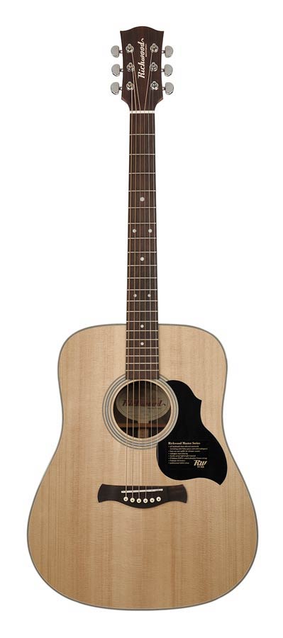 Richwood D-60 Master Series Handmade Dreadnought Westerngitaar