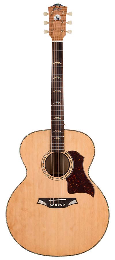 Bromo BAN7E Danali Series jumbo Semi akoestische gitaar