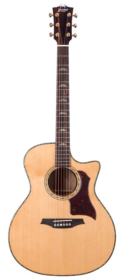 Bromo BAN2CE Danali Series Semi akoestische gitaar