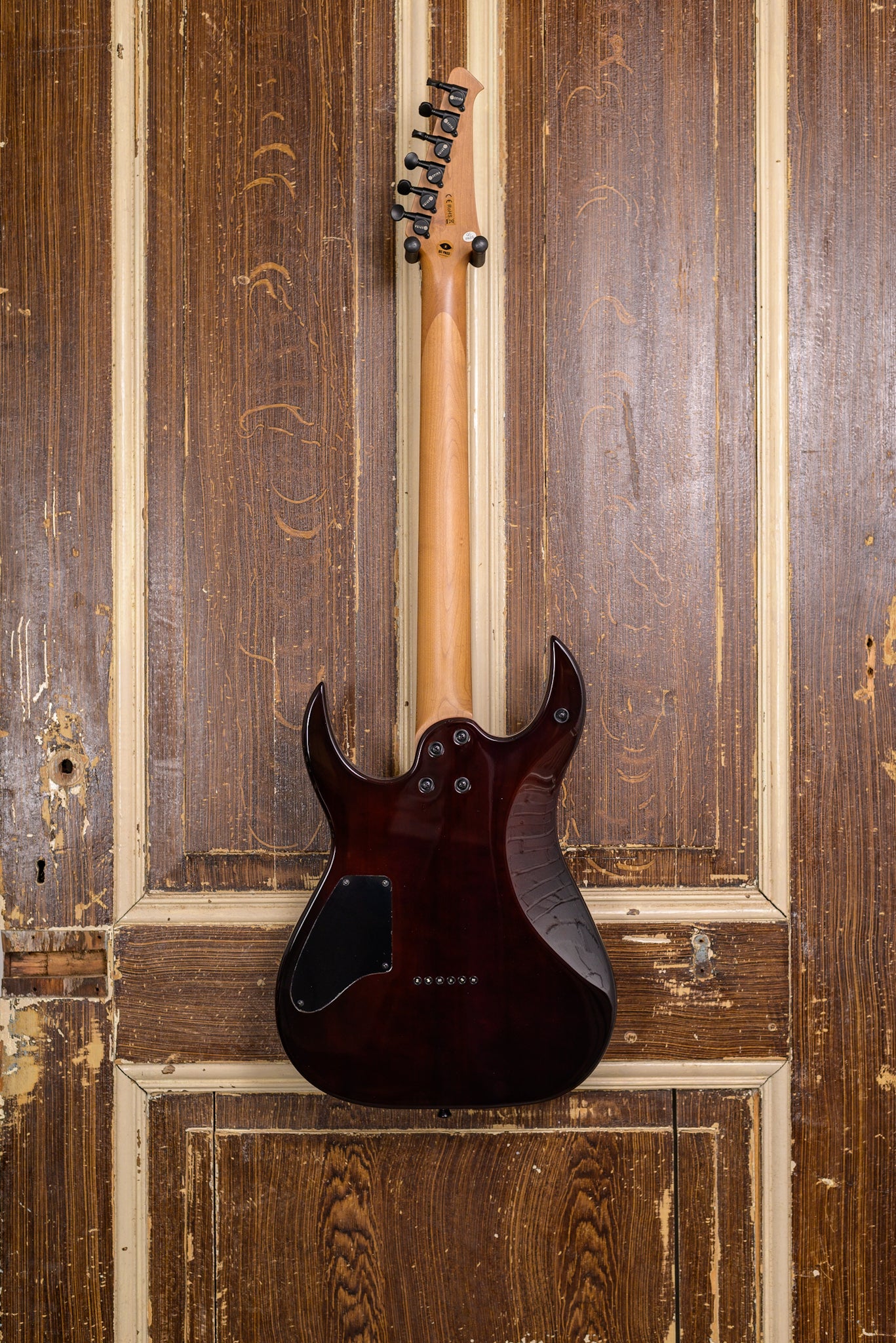 Spira Guitars S-450 TPP Transparent Purple elektrische gitaar