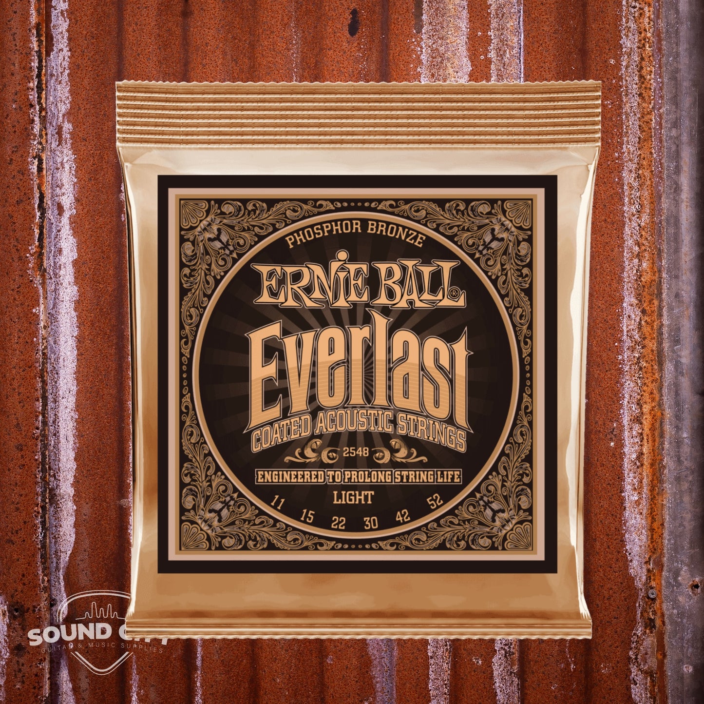 Ernie Ball 2548 Everlast Light