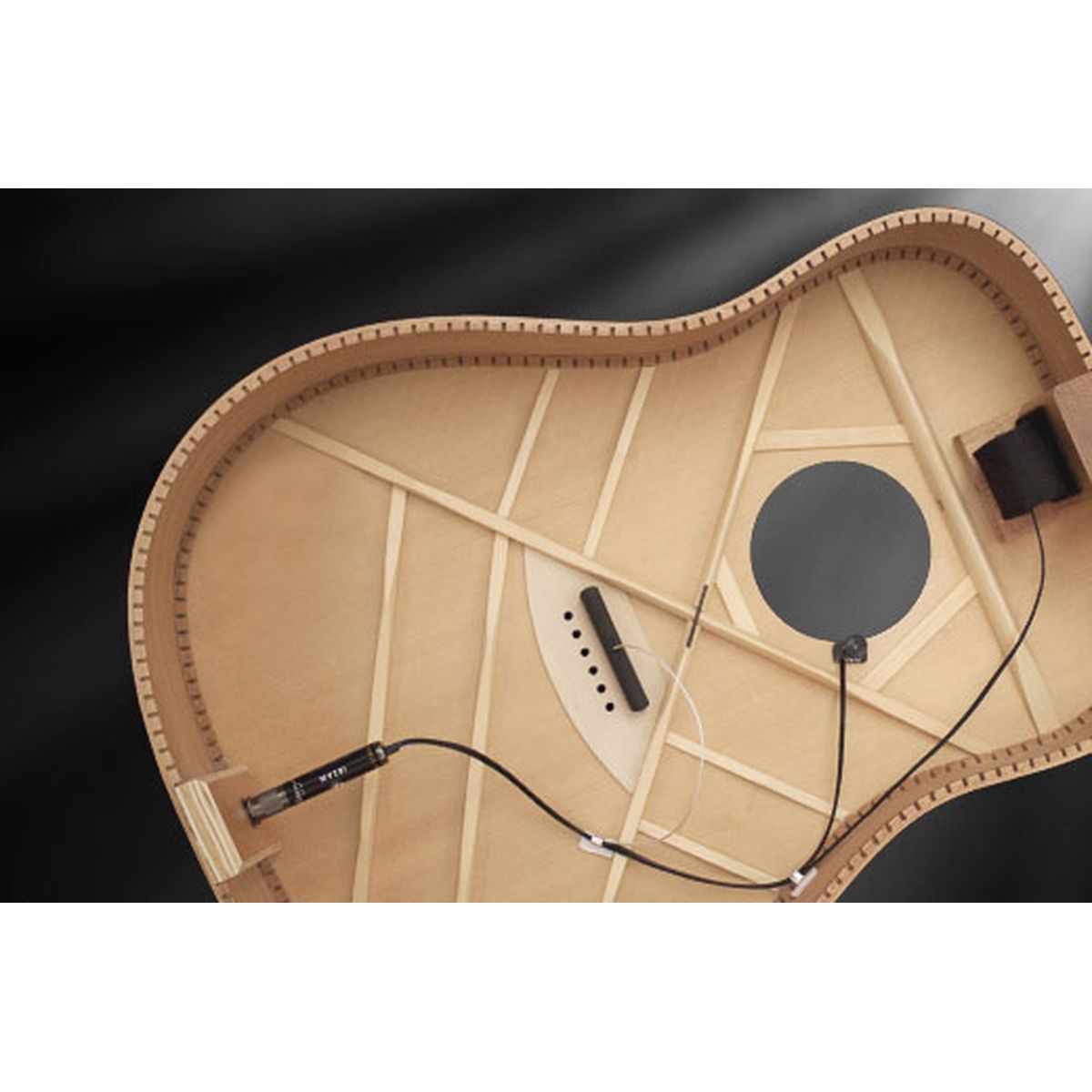 LR Baggs Ibeam-C