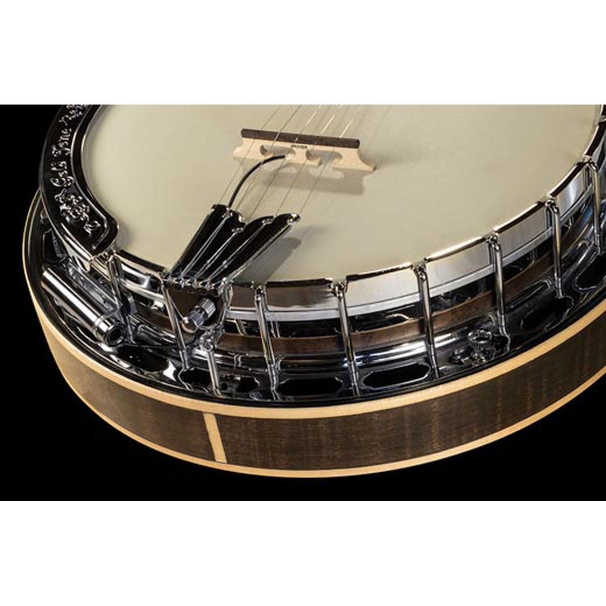 LR Baggs Banjo