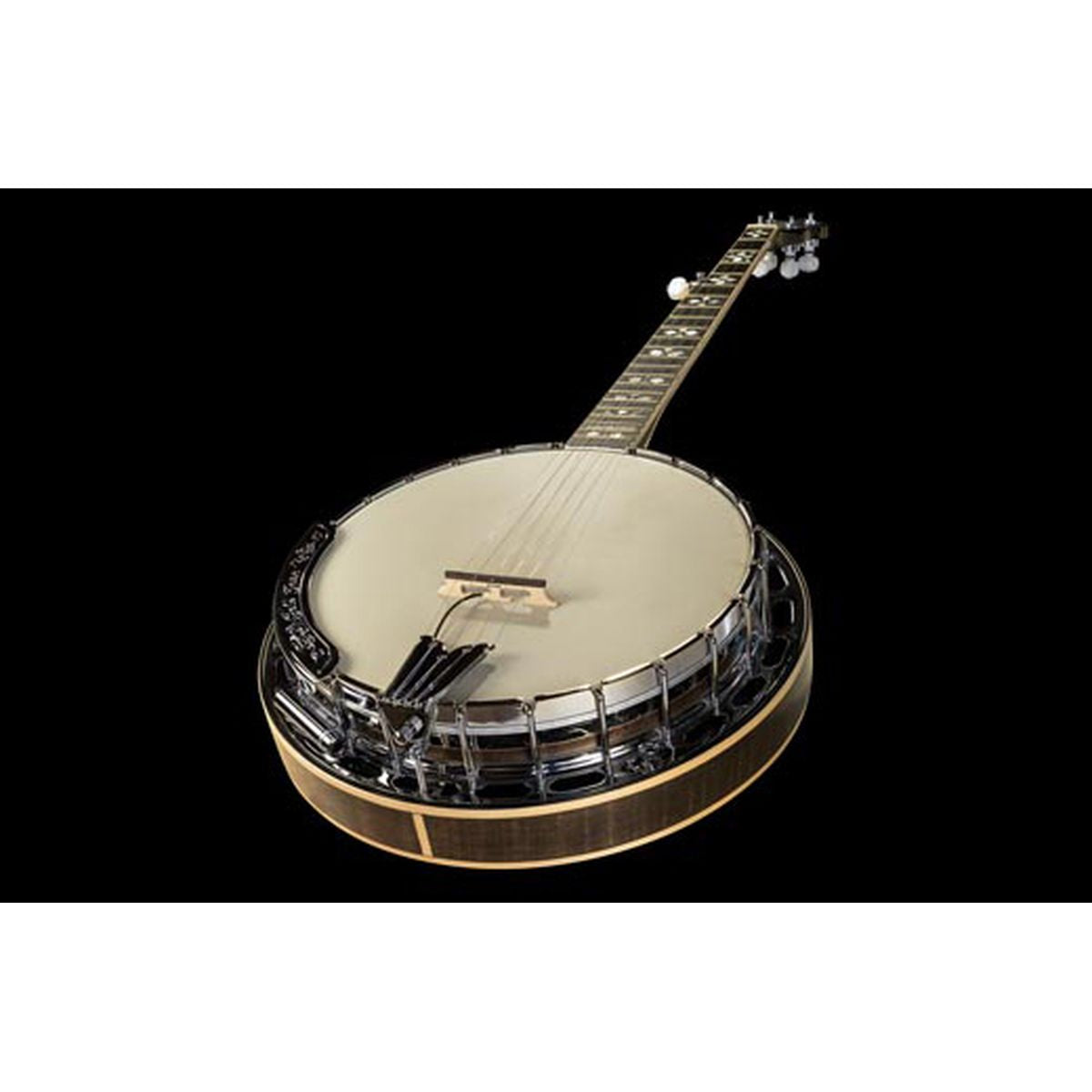 LR Baggs Banjo