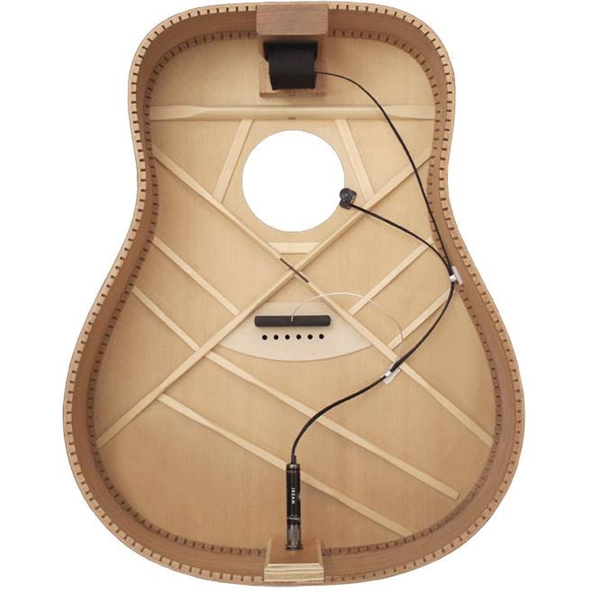 LR Baggs Ibas-C