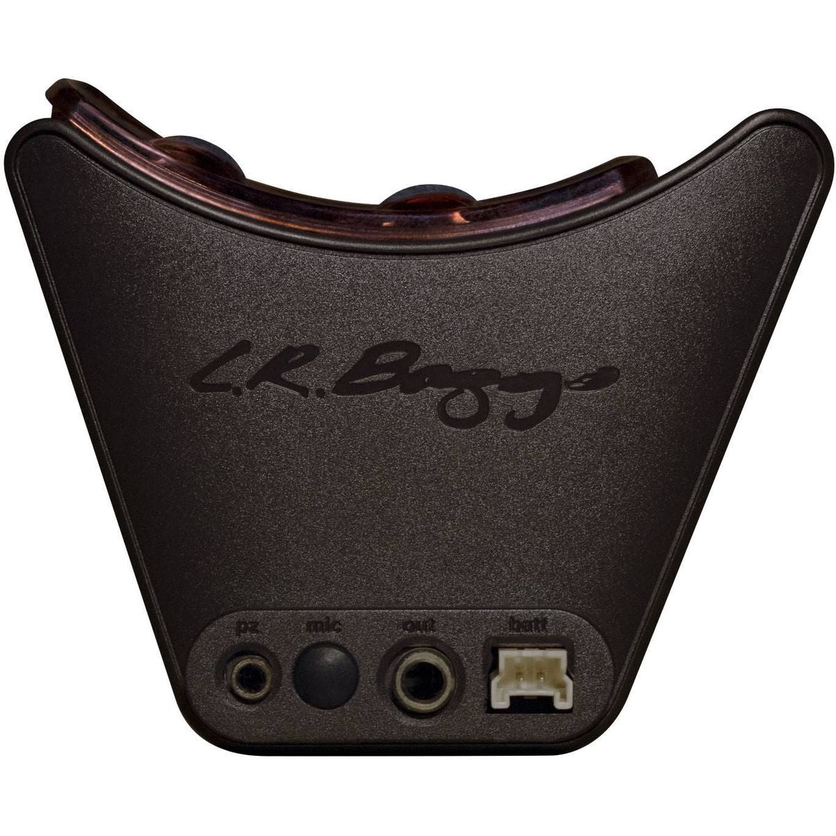 LR Baggs Session VTC
