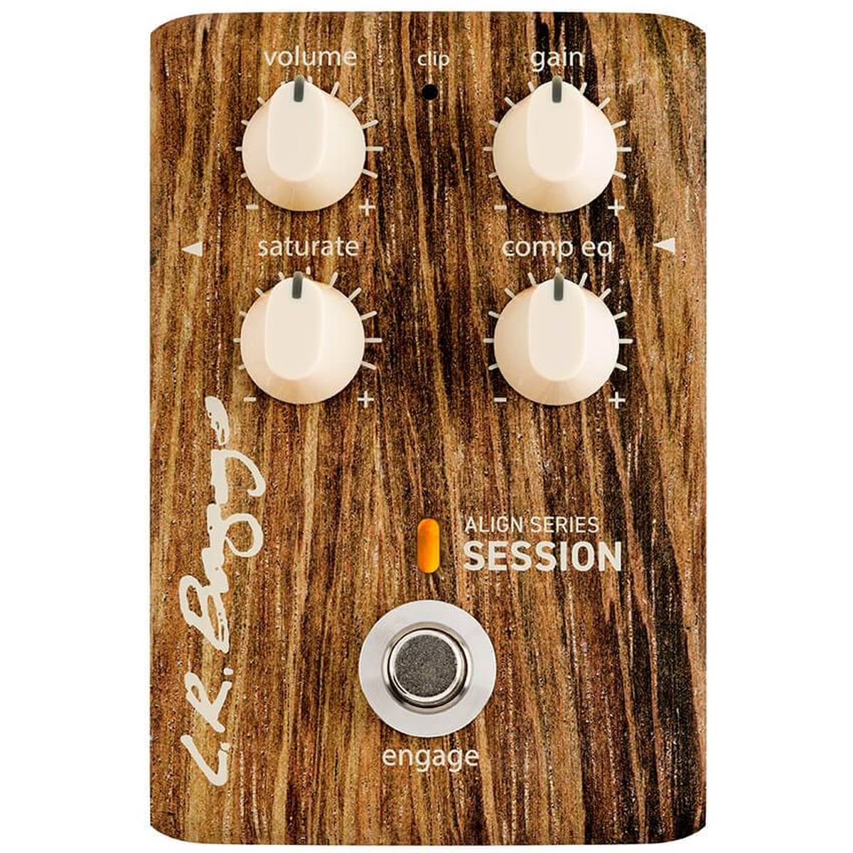 LR Baggs Align Session