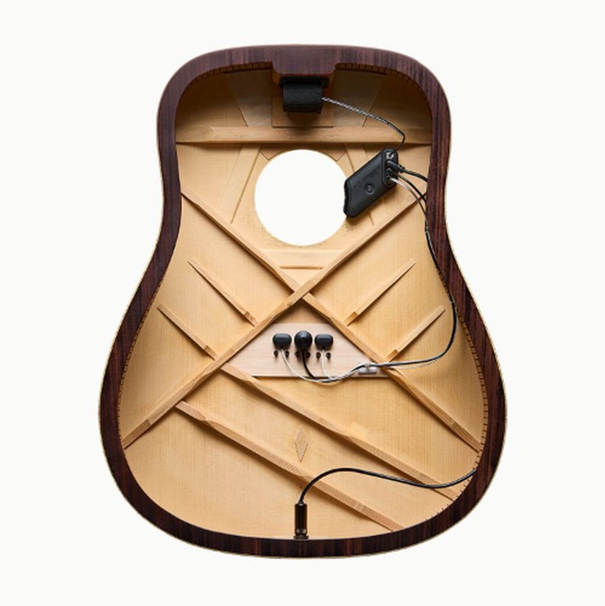 LR Baggs HiFi Duet