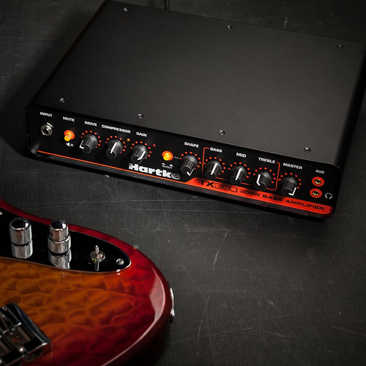 Hartke TX300