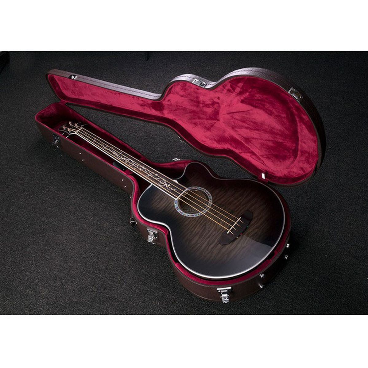 Michael Kelly Acoustic Bass Guitar Case