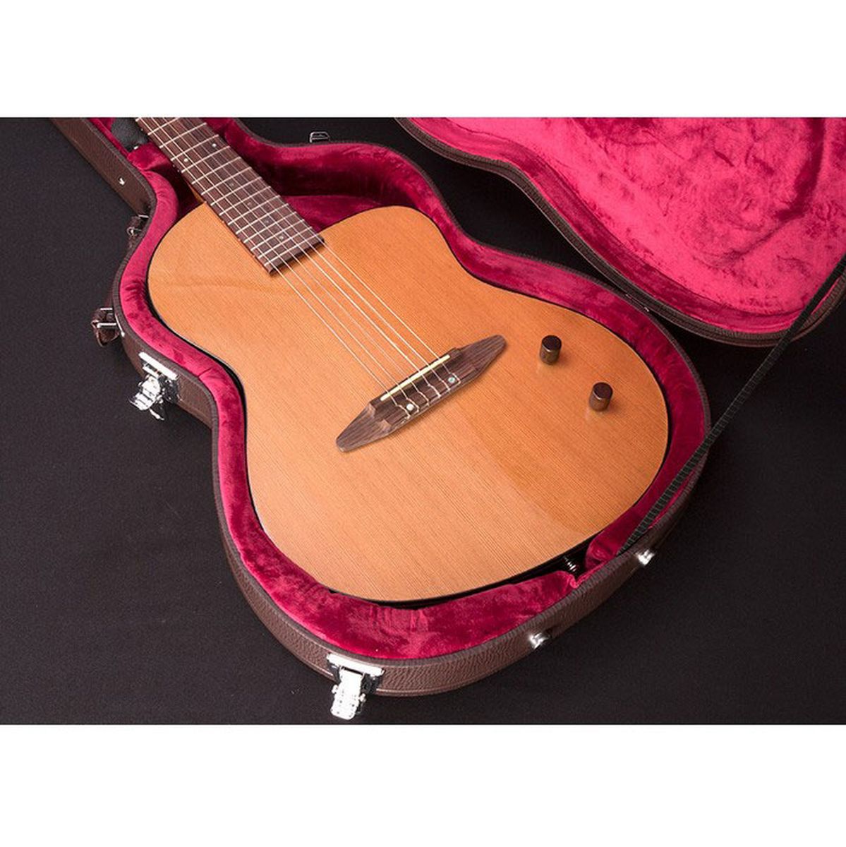 Michael Kelly Rick Turner Guitar Case
