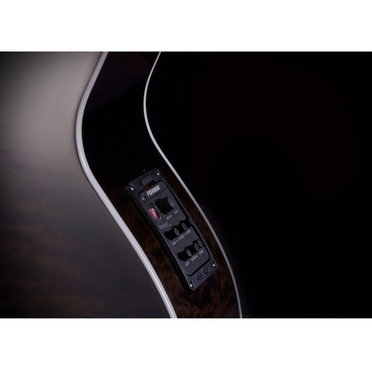 Michael Kelly Dragonfly Fretless 5 Smoke Burst