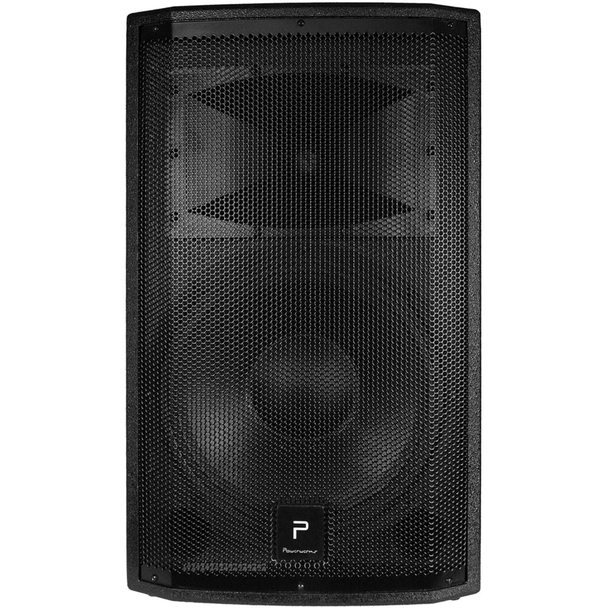 Powerwerks 1000W 12 inch Pro Speaker w/ Bluetooth
