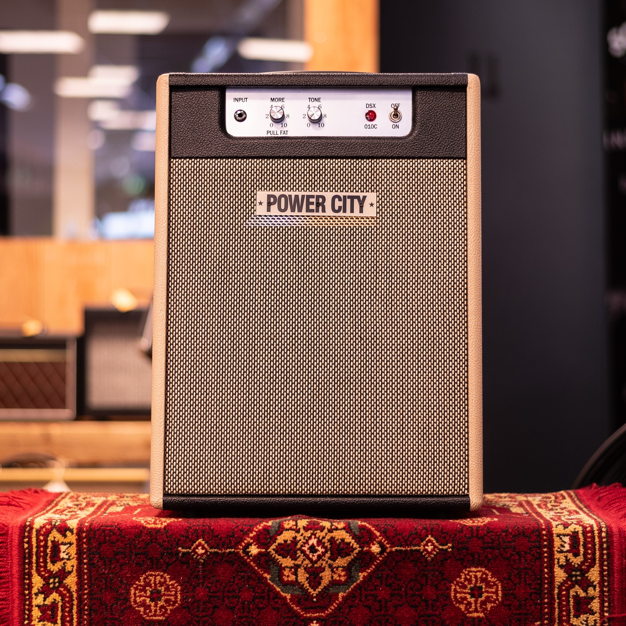PowerCity Amps DSX 010 Basic Ten Gitaarversterker Combo