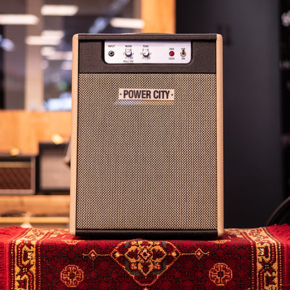 PowerCity Amps DSX 010 Basic Ten Combo