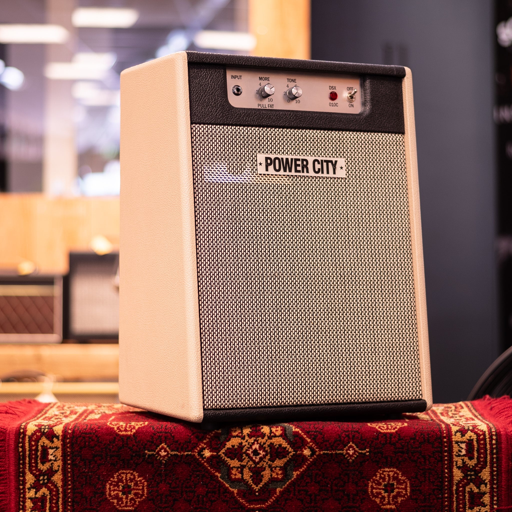 PowerCity Amps DSX 010 Basic Ten Gitaarversterker Combo