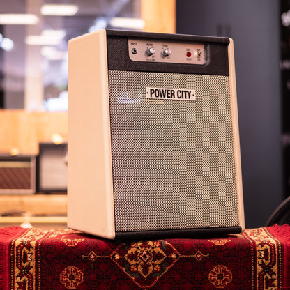 PowerCity Amps DSX 010 Basic Ten Combo