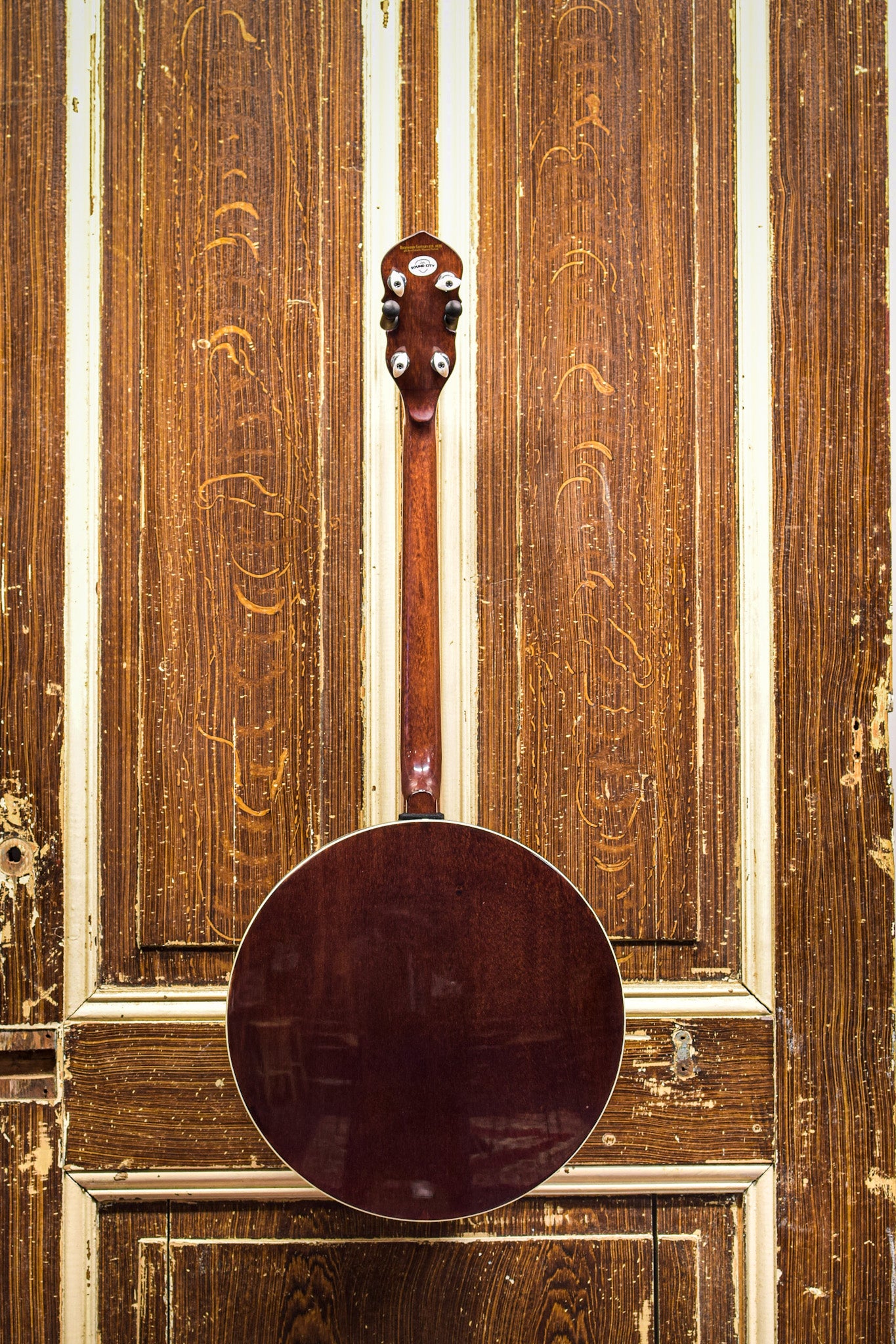 Richwood RMB-604 Master Series Tenor banjo (4sn.)
