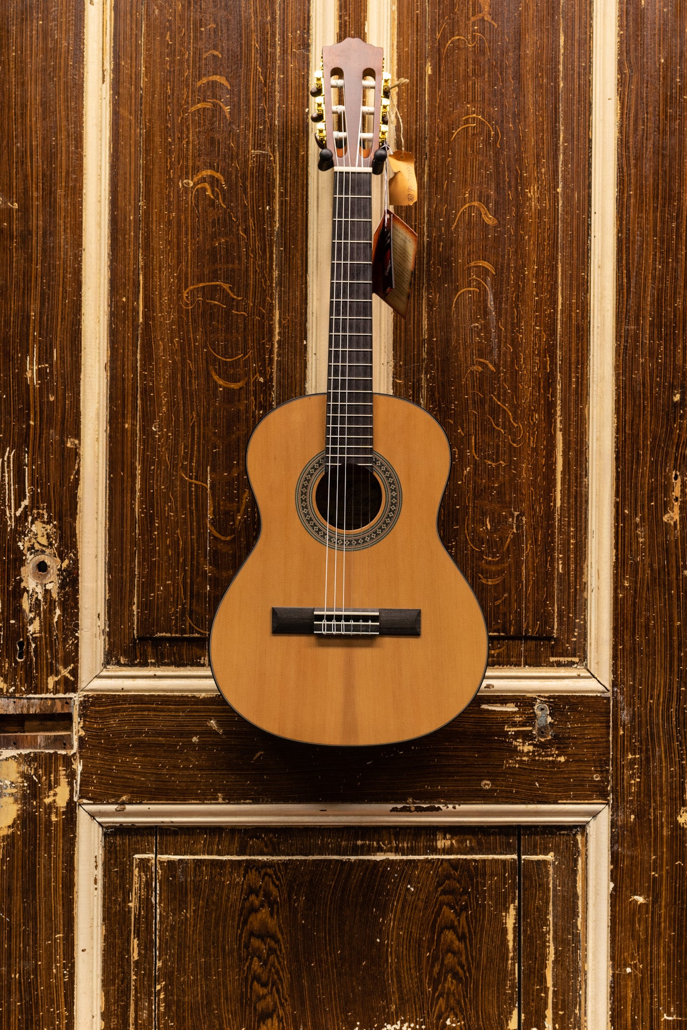 Cortez bambino Clearance