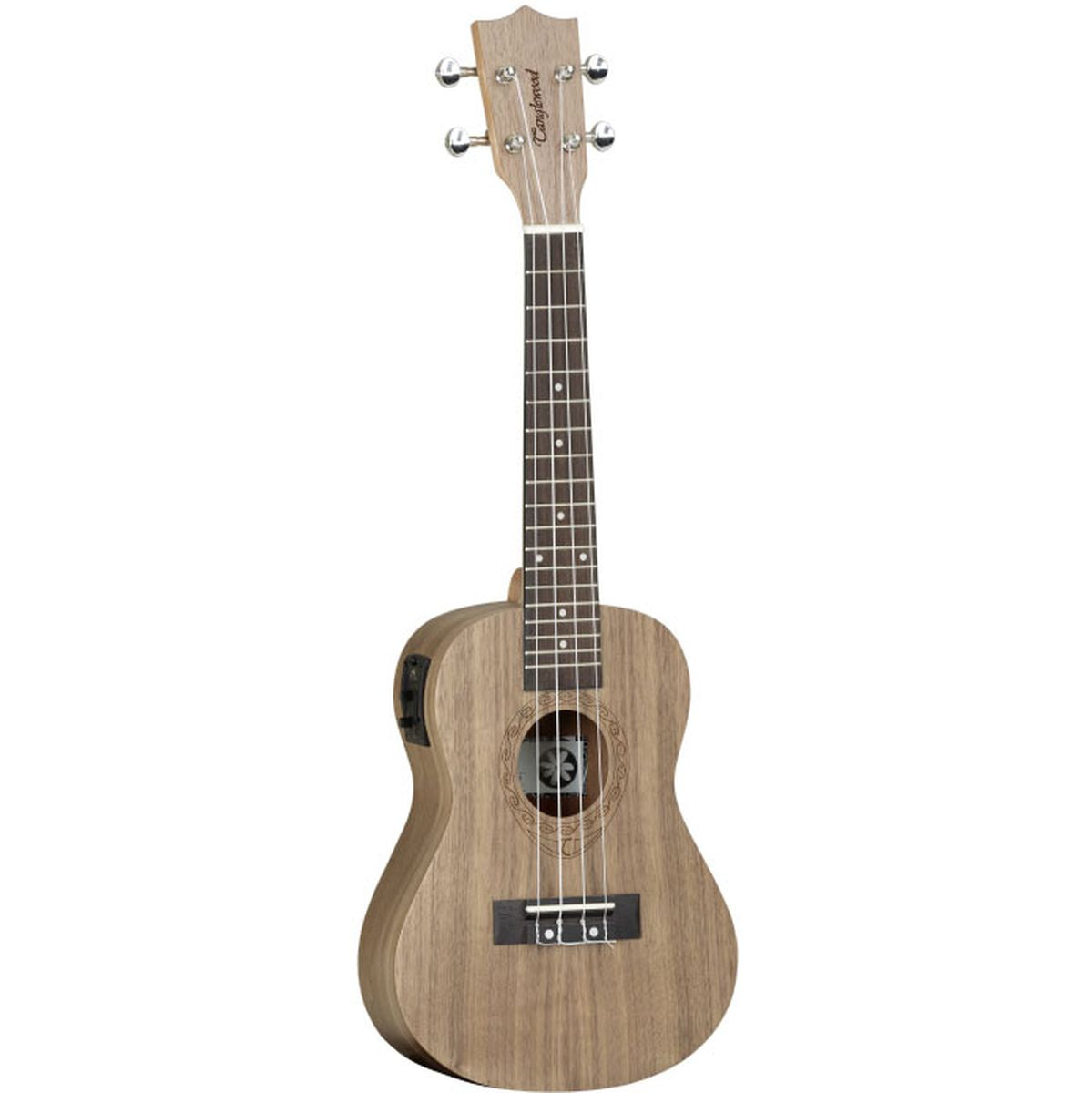 Tanglewood Tiare T3 E