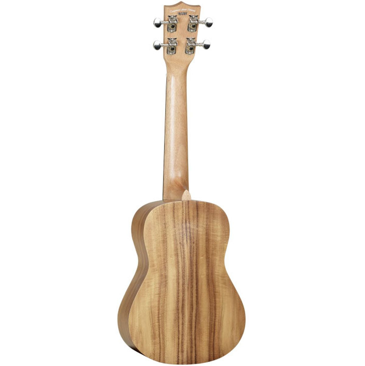 Tanglewood Tiare T9