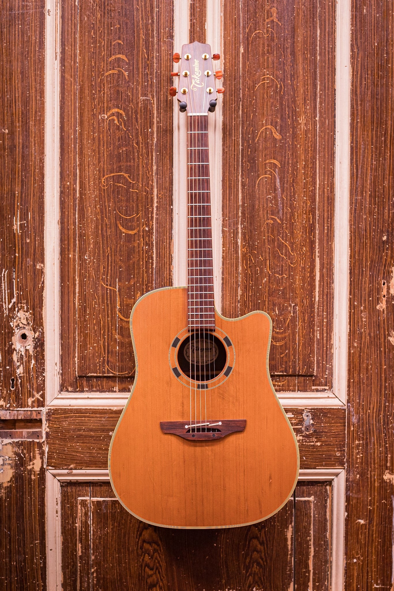 Takamine EN-10-C (occasion)