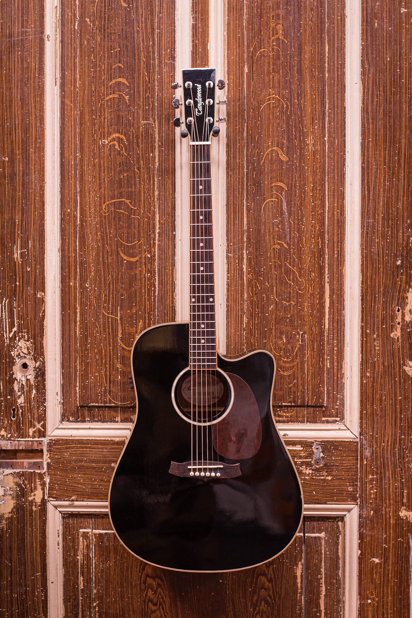 Tanglewood TW28 SL BK CE (occasion)