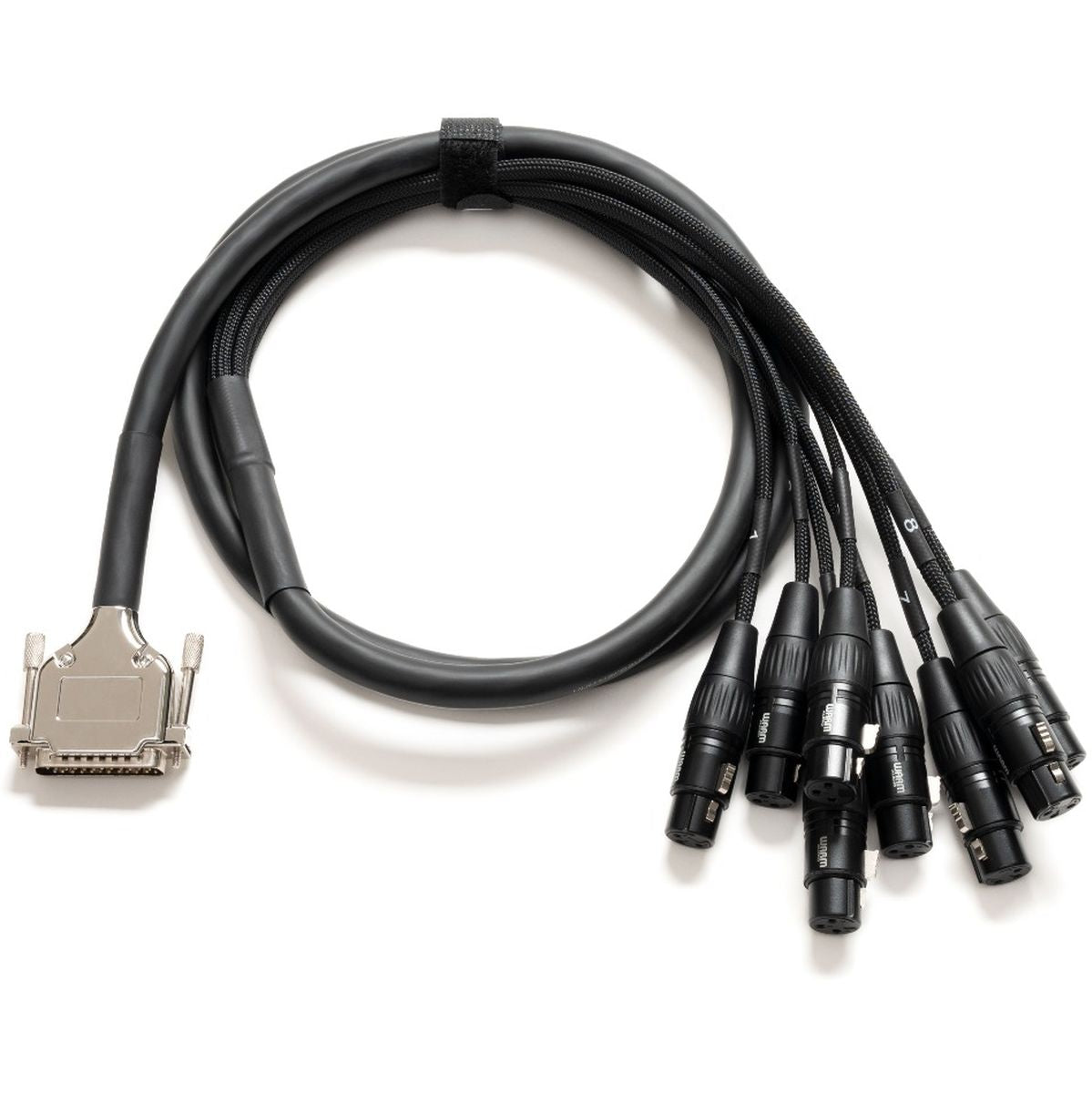 Warm Audio Premier DB25-XLRf-20&#039;